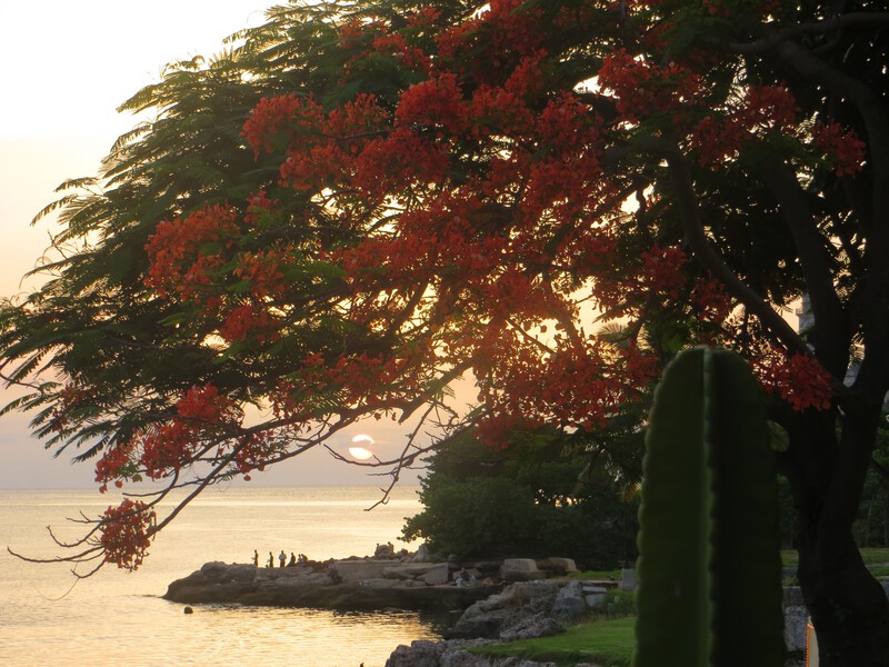 P2P-Havana-Elegance-Image_03